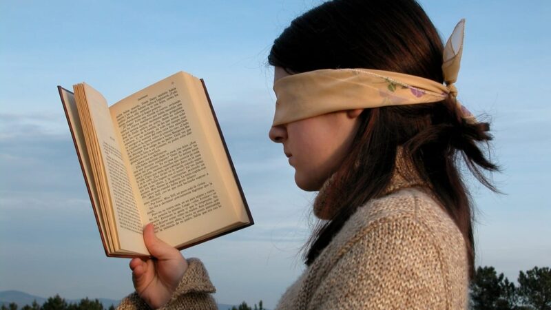 How Blind Readers Experience Literature