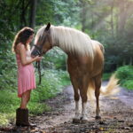 Majestic Bonds: The Connection Between Humans and Horses